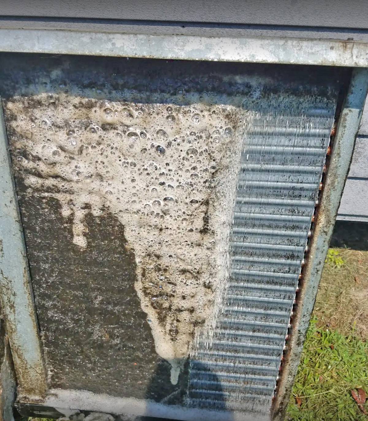 A dirty evaporator coil found on a service call